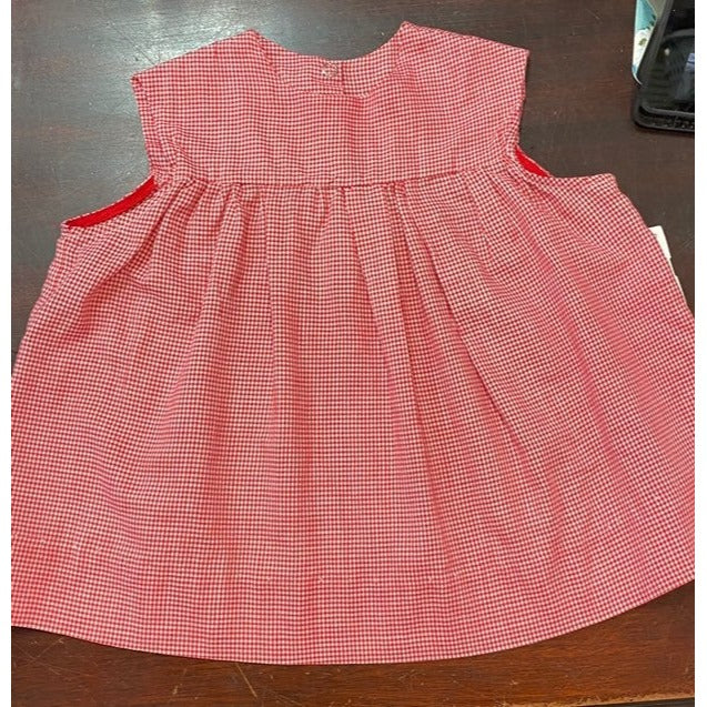 Vintage red gingham ladybug Dress
