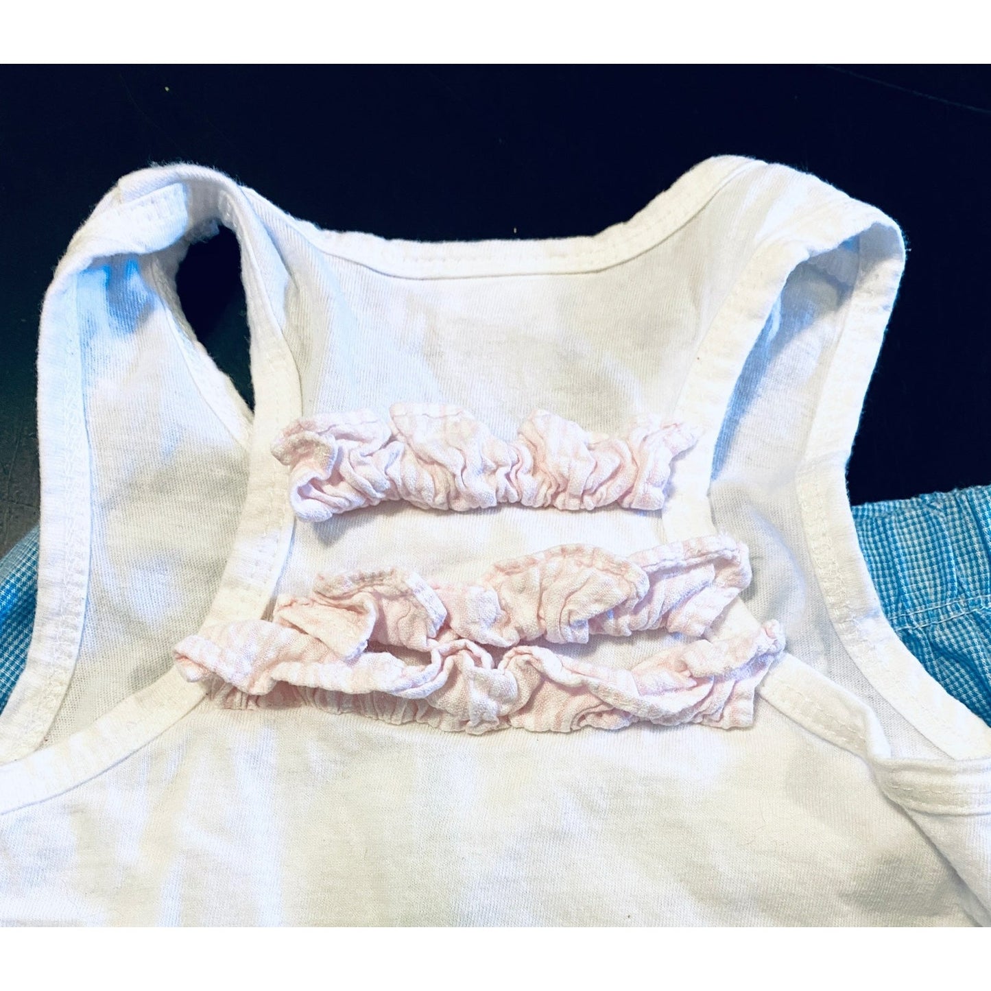2T bird ruffle shorts outfit