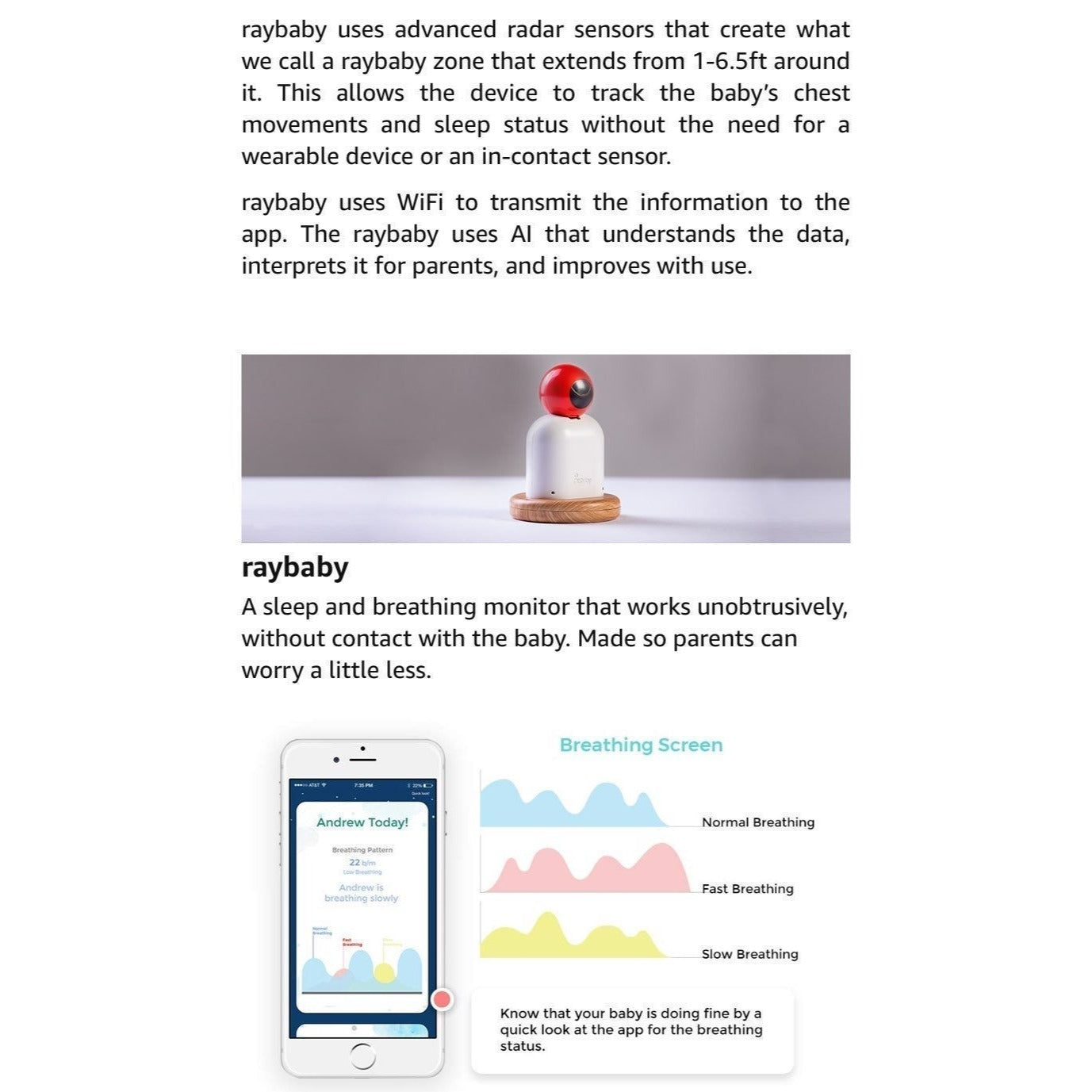RayBaby video monitor