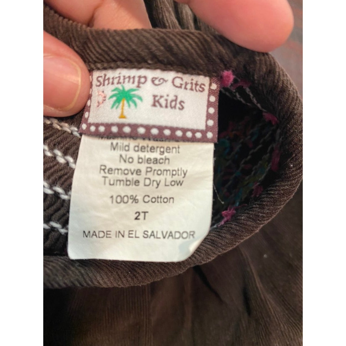 2T smocked peacock fall winter Dress