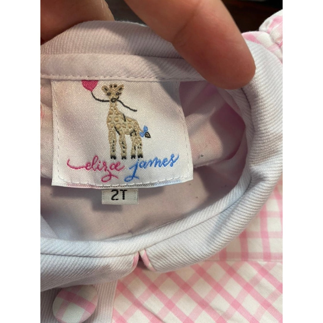 2t pink gingham dress