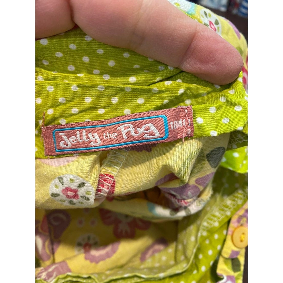 18 months jelly the pug floral dress