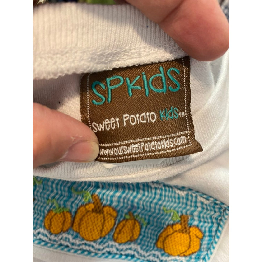 2/3 smocked pumpkin tee