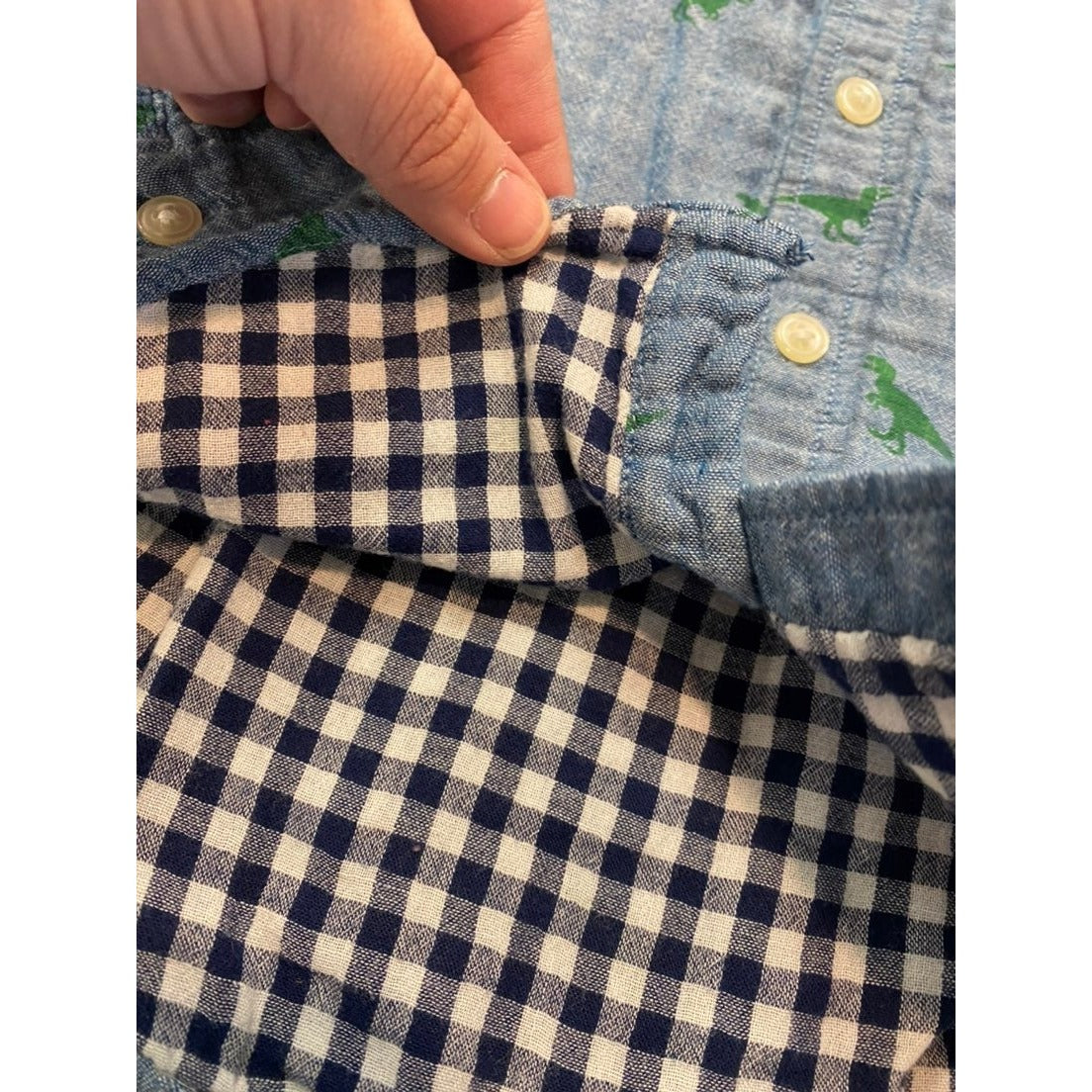 Size 2 Gap dinosaur Shirt