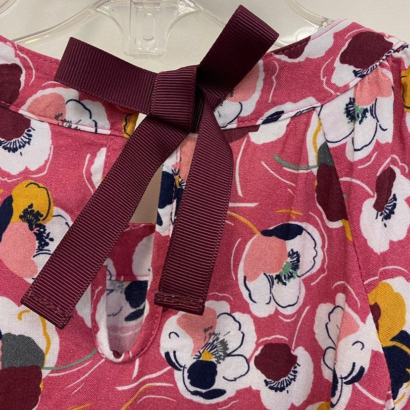 Size 4 Hanna Andersson floral dress