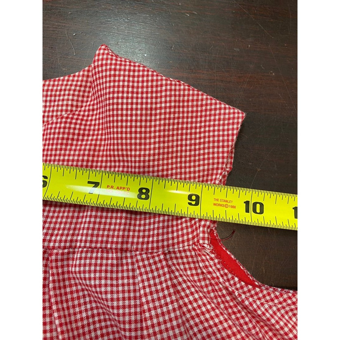 Vintage red gingham ladybug Dress