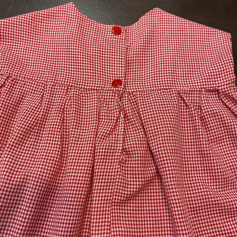Vintage red gingham ladybug Dress