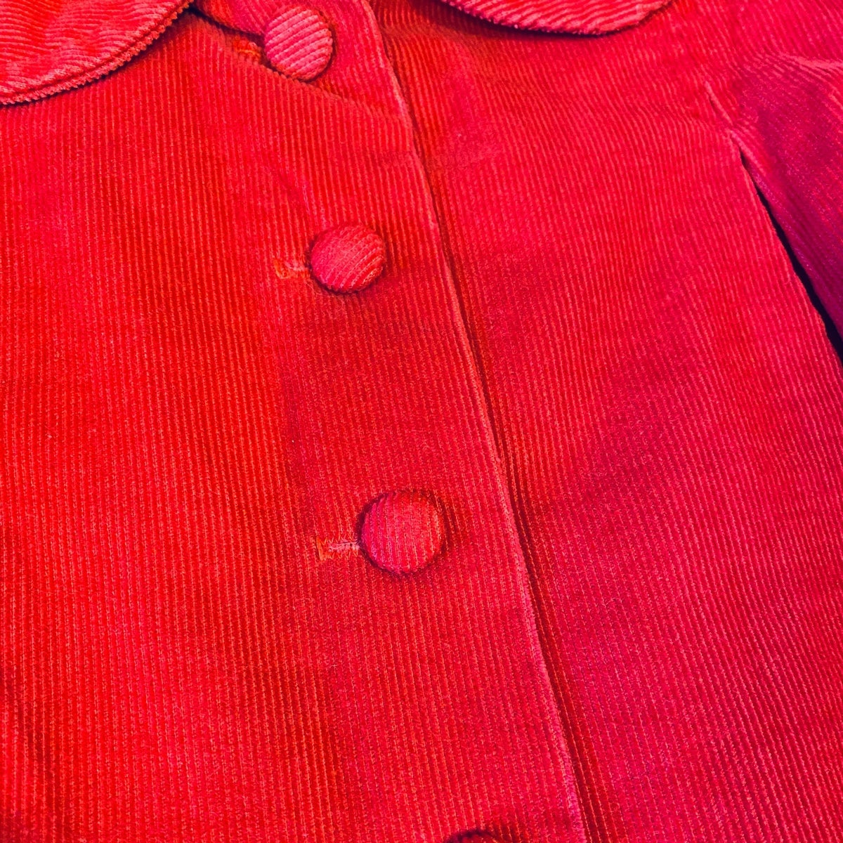 Girls size 2/3 winter coat