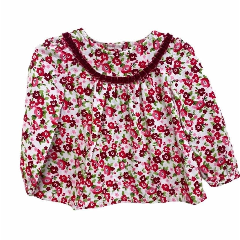 2t vintage Gymboree floral winter top