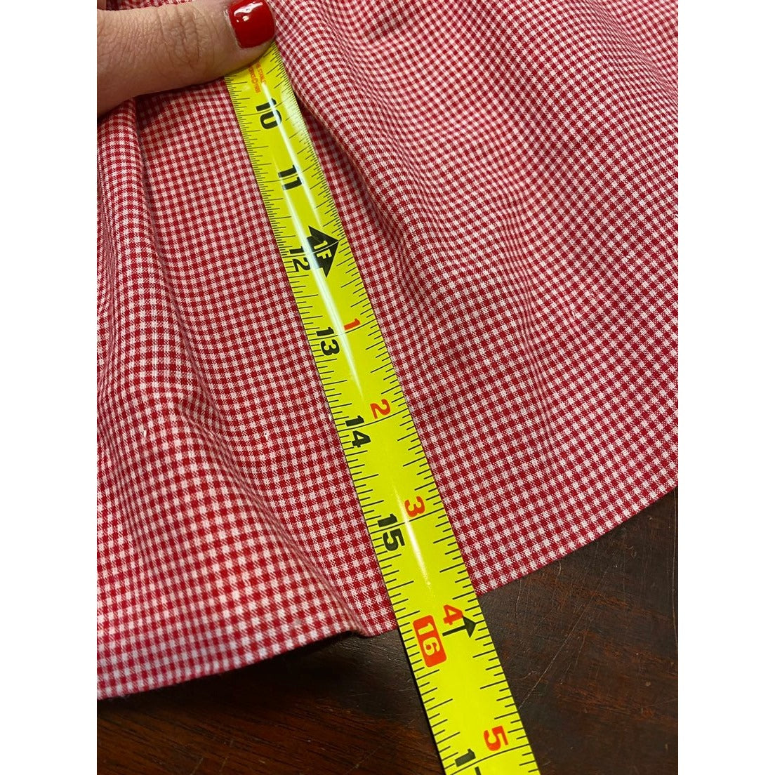 Vintage red gingham ladybug Dress