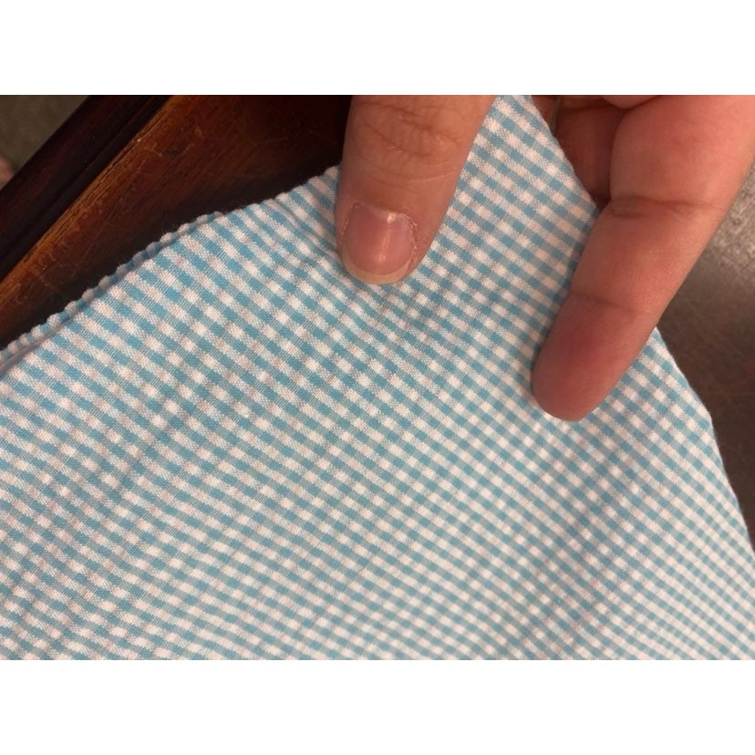 3/4 blue gingham seersucker dress