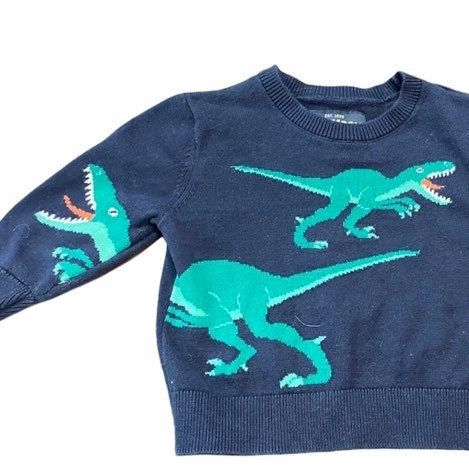 9 months baby boy dinosaur sweater