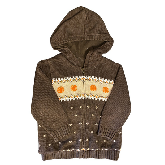 Janie and Jack fall pumpkin Sweater