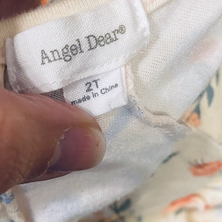 2T Angel Dear birds and floral swing dress